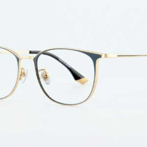 PLS. PLS. Eyewear 眼鏡框 – PT-V17